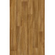 PVC podlaha Ambient Golden Oak 016M - dub