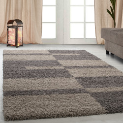 AKCE: 200x290 cm Kusový koberec Gala 2505 taupe
