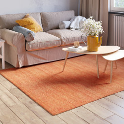 AKCE: 80x150 cm Kusový koberec Sarvnaz rost rot