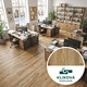 Vinylová podlaha kliková Canadian Design Premium Canmore