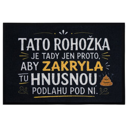 Rohožka Hnusná podlaha 40x60 cm