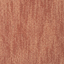 AKCE: 100x435 cm Metrážový koberec Leon 21844 Terra