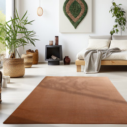 AKCE: 80x150 cm Kusový koberec Sky 5400 Brown