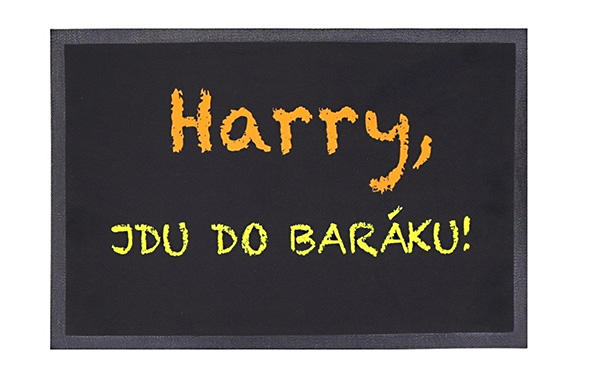 Rohožka Harry, jdu do baráku